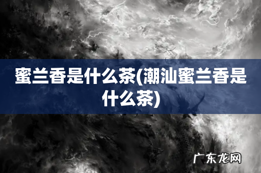 潮汕蜜兰香是什么茶 蜜兰香是什么茶