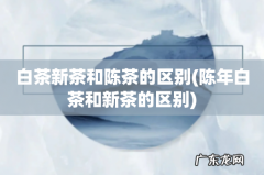 陈年白茶和新茶的区别 白茶新茶和陈茶的区别