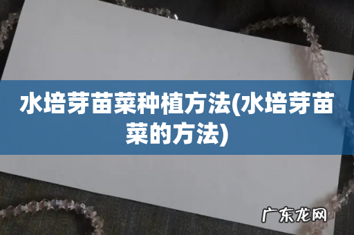 水培芽苗菜的方法 水培芽苗菜种植方法