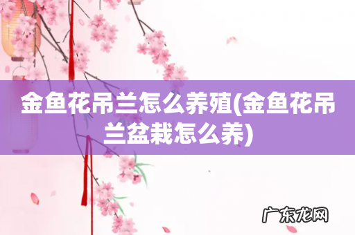 金鱼花吊兰盆栽怎么养 金鱼花吊兰怎么养殖