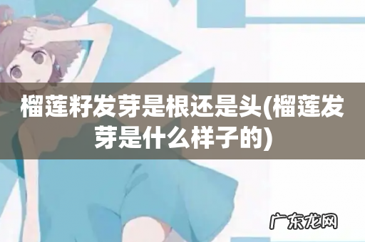 榴莲发芽是什么样子的 榴莲籽发芽是根还是头