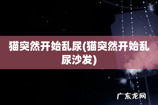 猫突然开始乱尿沙发 猫突然开始乱尿