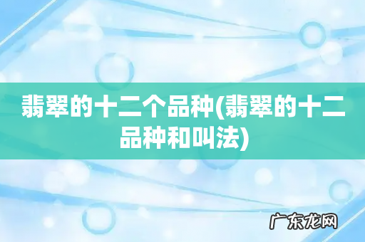 翡翠的十二品种和叫法 翡翠的十二个品种