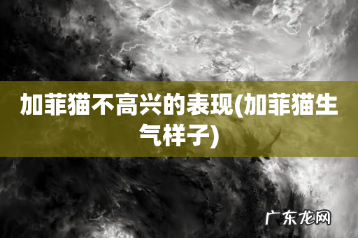 加菲猫生气样子 加菲猫不高兴的表现