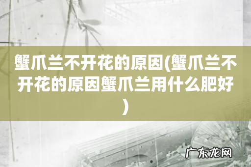 蟹爪兰不开花的原因蟹爪兰用什么肥好 蟹爪兰不开花的原因