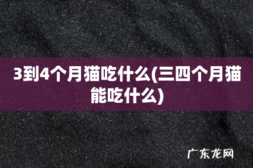三四个月猫能吃什么 3到4个月猫吃什么