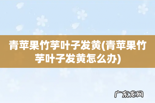 青苹果竹芋叶子发黄怎么办 青苹果竹芋叶子发黄