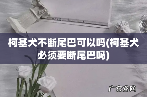 柯基犬必须要断尾巴吗 柯基犬不断尾巴可以吗