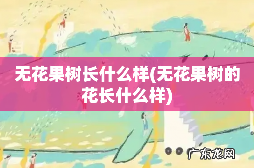 无花果树的花长什么样 无花果树长什么样