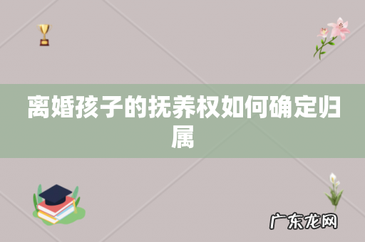 离婚孩子的抚养权如何确定归属