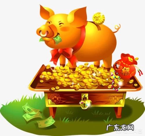 猪年有什么成语、俗语吗?