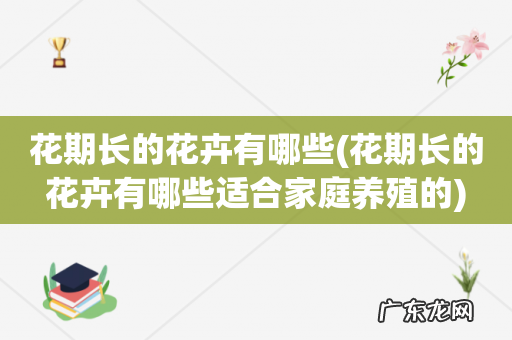 花期长的花卉有哪些适合家庭养殖的 花期长的花卉有哪些