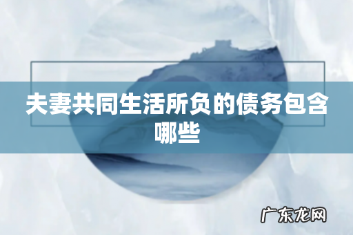 夫妻共同生活所负的债务包含哪些