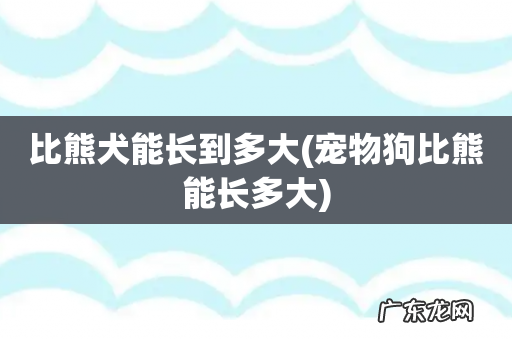 宠物狗比熊能长多大 比熊犬能长到多大