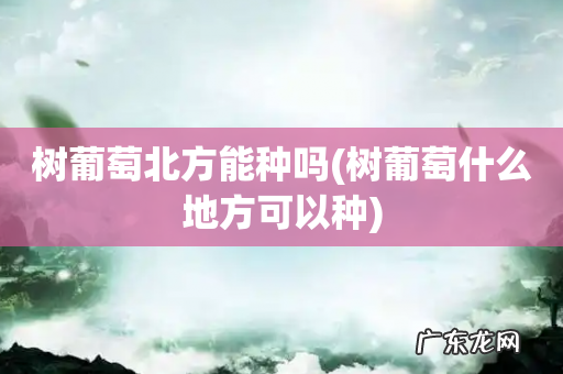 树葡萄什么地方可以种 树葡萄北方能种吗