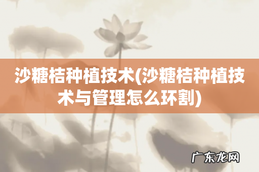 沙糖桔种植技术与管理怎么环割 沙糖桔种植技术