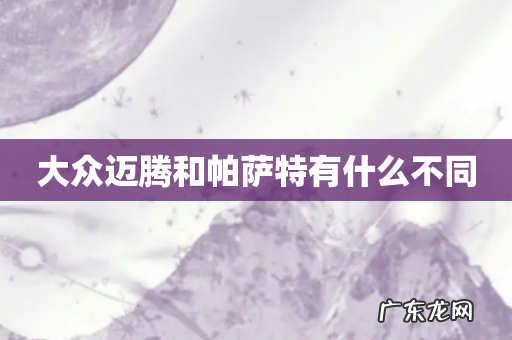 大众迈腾和帕萨特有什么不同