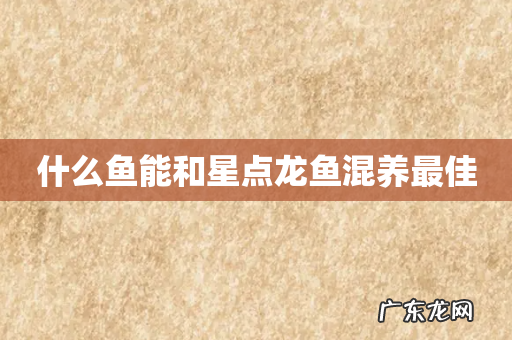 什么鱼能和星点龙鱼混养最佳