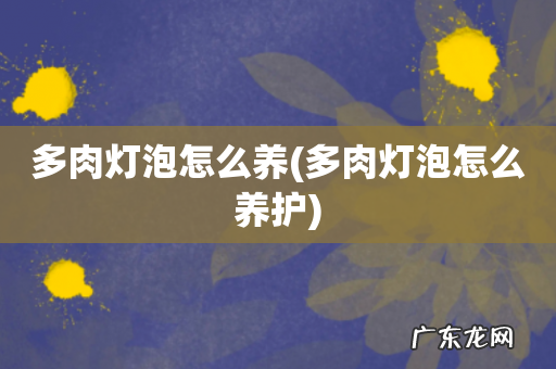 多肉灯泡怎么养护 多肉灯泡怎么养