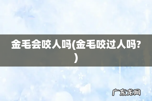 金毛咬过人吗? 金毛会咬人吗