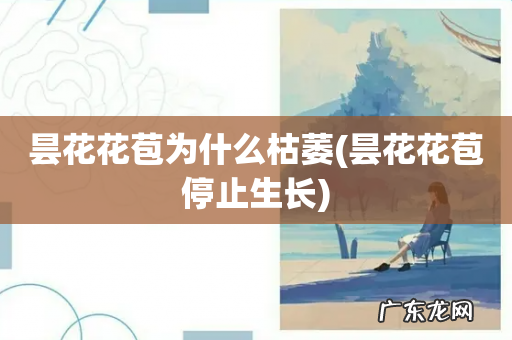 昙花花苞停止生长 昙花花苞为什么枯萎