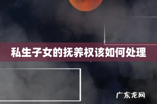 私生子女的抚养权该如何处理