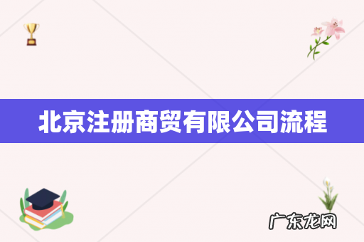北京注册商贸有限公司流程