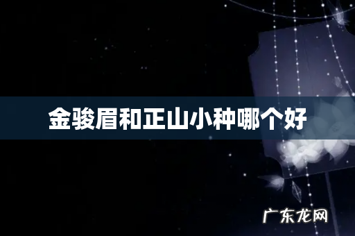 金骏眉和正山小种哪个好