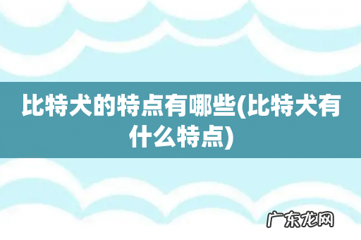 比特犬有什么特点 比特犬的特点有哪些
