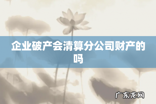 企业破产会清算分公司财产的吗