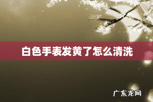 白色手表发黄了怎么清洗