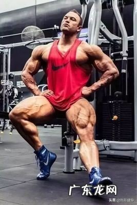 格斗训练和健美训练普通人更适合哪个？