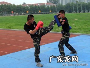 格斗训练和健美训练普通人更适合哪个?