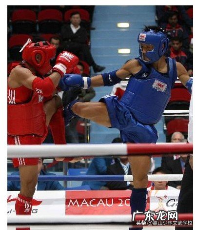 格斗训练和健美训练普通人更适合哪个?