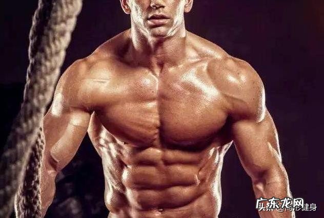 格斗训练和健美训练普通人更适合哪个？