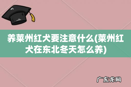 莱州红犬在东北冬天怎么养 养莱州红犬要注意什么