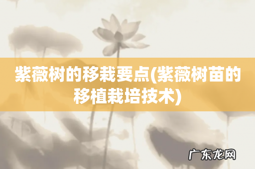 紫薇树苗的移植栽培技术 紫薇树的移栽要点