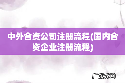 国内合资企业注册流程 中外合资公司注册流程