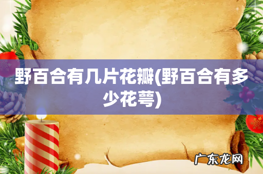 野百合有多少花萼 野百合有几片花瓣