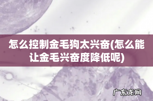怎么能让金毛兴奋度降低呢 怎么控制金毛狗太兴奋