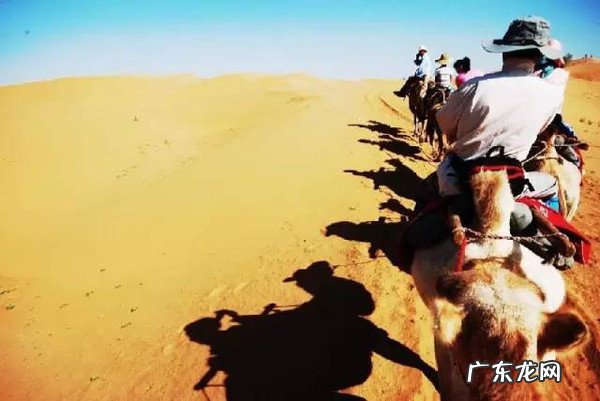 国内哪些地方适合亲子游？