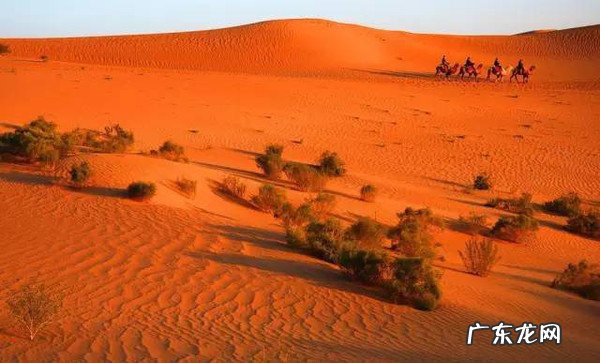 国内哪些地方适合亲子游？