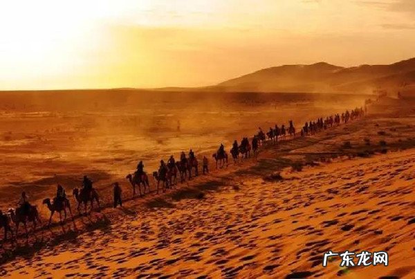 国内哪些地方适合亲子游？