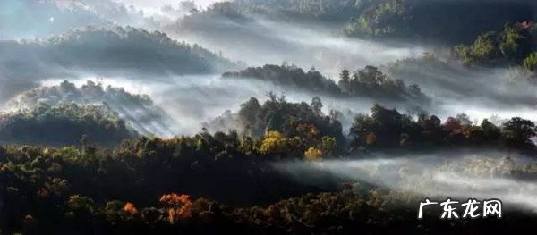 国内哪些地方适合亲子游？