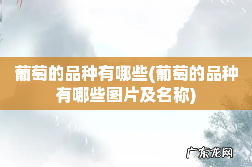 葡萄的品种有哪些图片及名称 葡萄的品种有哪些