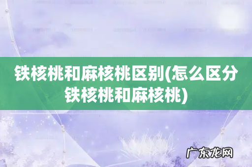 怎么区分铁核桃和麻核桃 铁核桃和麻核桃区别