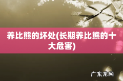 长期养比熊的十大危害 养比熊的坏处