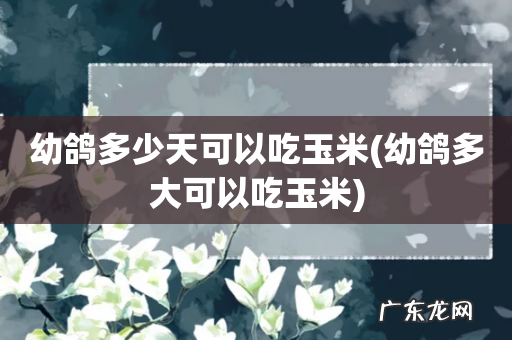 幼鸽多大可以吃玉米 幼鸽多少天可以吃玉米