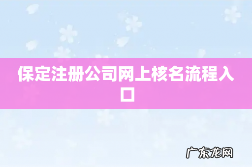 保定注册公司网上核名流程入口
