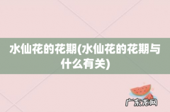 水仙花的花期与什么有关 水仙花的花期